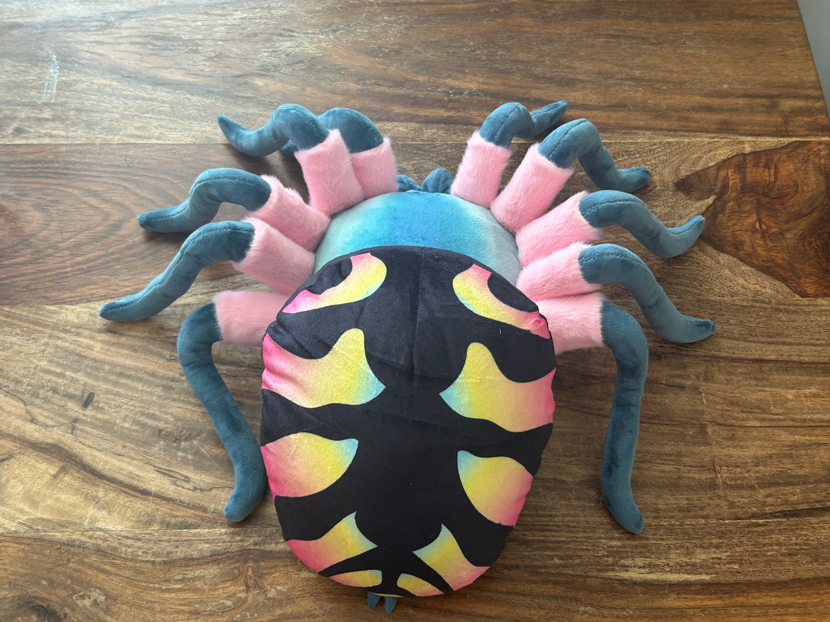 Typhochlaena seladonia Plush for Sale Online - Shane's Spiders