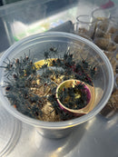 0.0.1 Pamphobeteus sp. “Mascara” - Sling