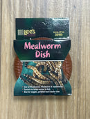 Mealworm Dish - Lee’s