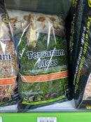 Terrarium Moss - Galapagos