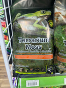 Terrarium Moss - Galapagos