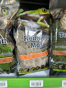 Terrarium Moss - Galapagos