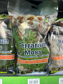 Terrarium Moss - Galapagos