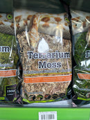 Terrarium Moss - Galapagos