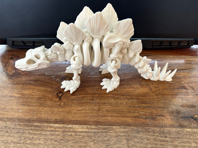 Stegasaurus Skeleton - Articulated model