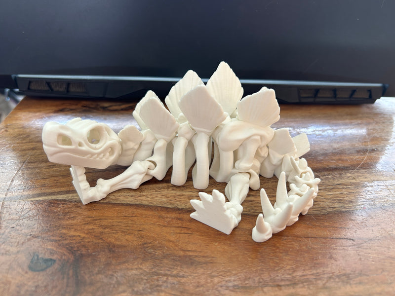 Stegasaurus Skeleton - Articulated model