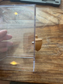 Jumping Spider Decor - Acorn Hide