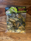 Pangea Plant - Japanese Laurel Leafy Vine