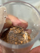 0.0.1 Birupes simoroxigorum - Sling