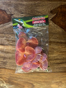 Pangea Plant - Orchids