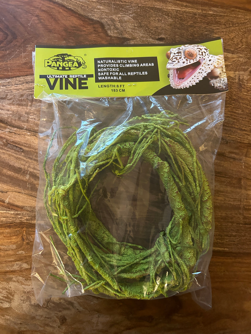 Pangea Plant - Ultimate Vine