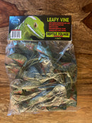 Pangea Plant - Caladium Leafy Vine