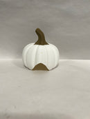 Pumpkin Hides - Classic