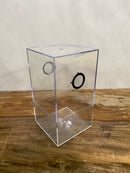 Juvenile Aviculariianae Enclosure