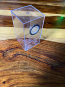 Spiderling Aviculariianae Enclosure