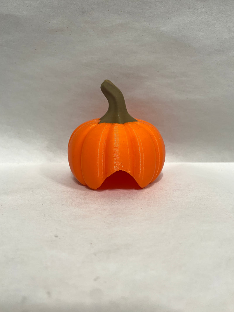 Pumpkin Hides - Classic