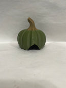 Pumpkin Hides - Classic